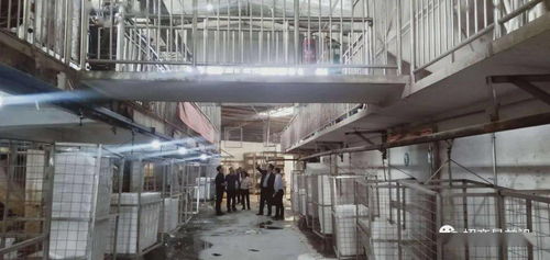 綠色包裝與節能保溫材料項目成功簽約，金屬裝飾材料零售市場迎新機